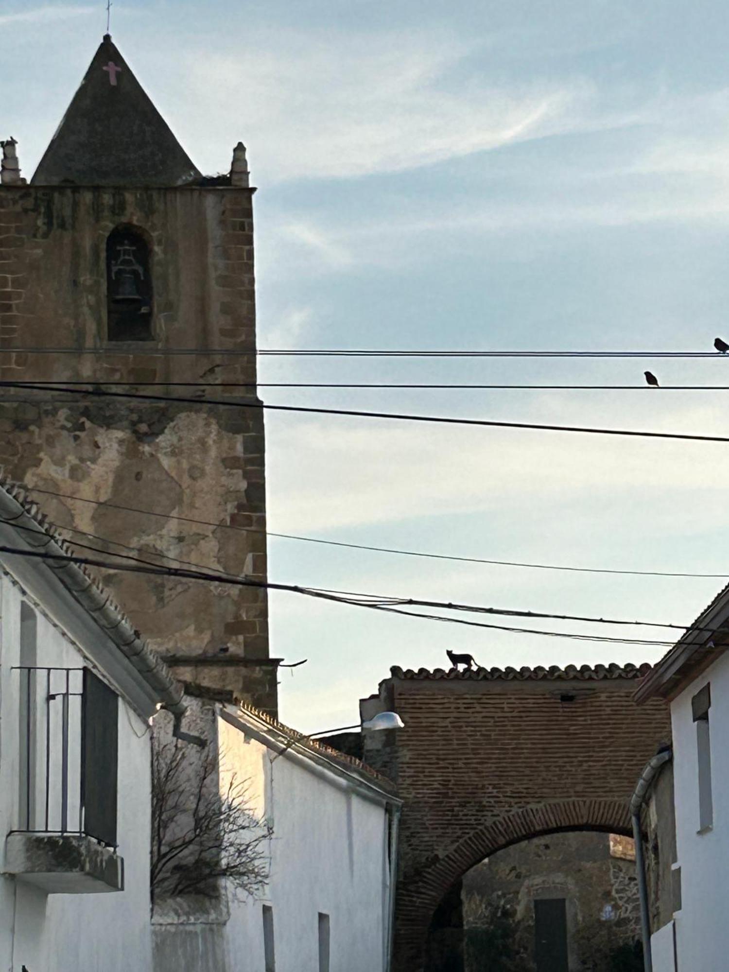 Casa Rural La Manzanilla Salvatierra de Santiago エクステリア 写真