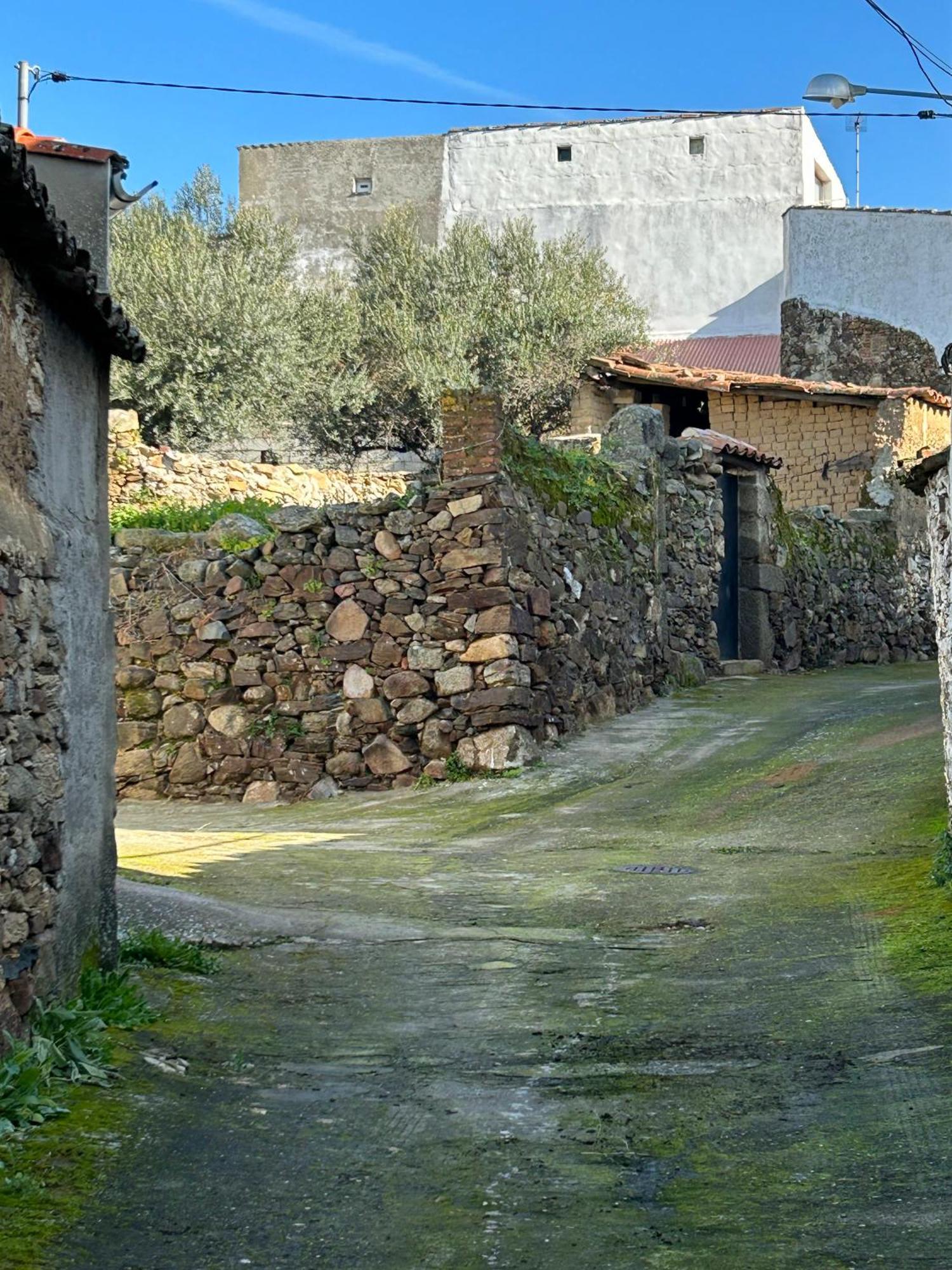 Casa Rural La Manzanilla Salvatierra de Santiago エクステリア 写真
